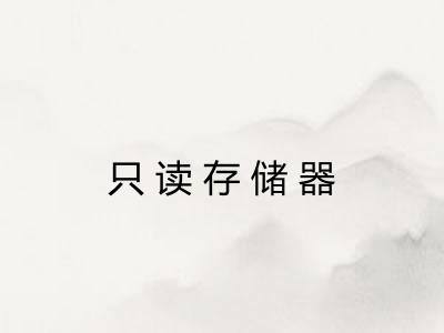 只读存储器 只读存储器