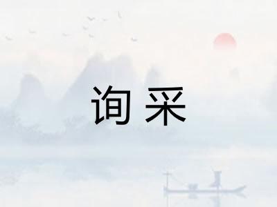 询采