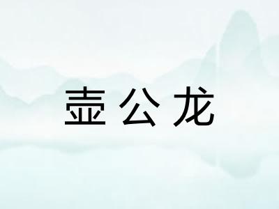 壶公龙 壶公龙