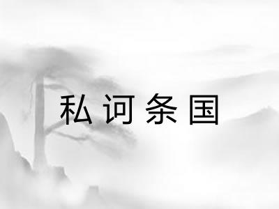 私诃条国 私诃条国