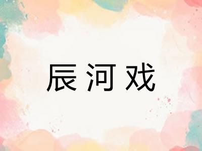 辰河戏 辰河戏
