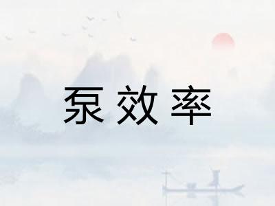 泵效率 泵效率