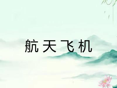 航天飞机 航天飞机