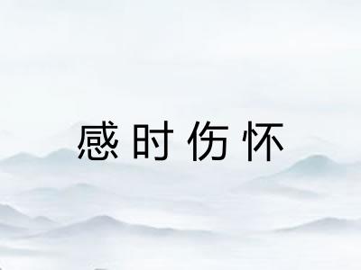 感时伤怀 感时伤怀