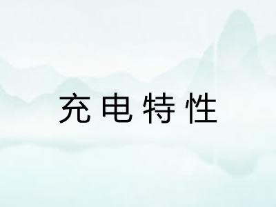 充电特性 充电特性