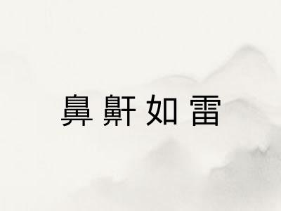 鼻鼾如雷 鼻鼾如雷