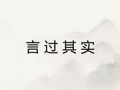 言过其实 言过其实