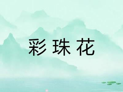 彩珠花 彩珠花