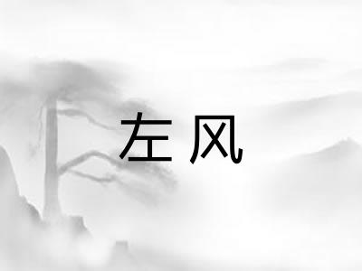 左风 左风