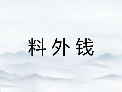料外钱