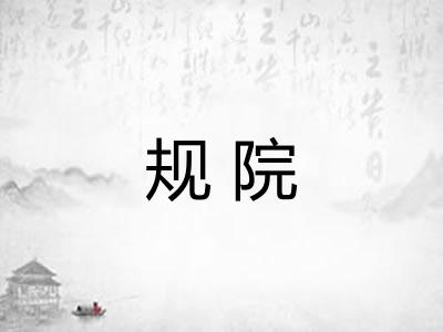 规院