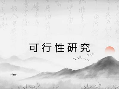 可行性研究 可行性研究