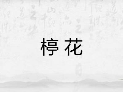楟花 楟花