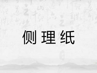 侧理纸 侧理纸