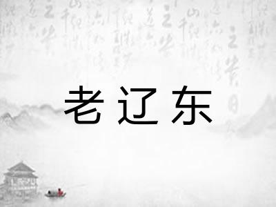老辽东