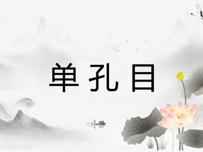 单孔目 单孔目