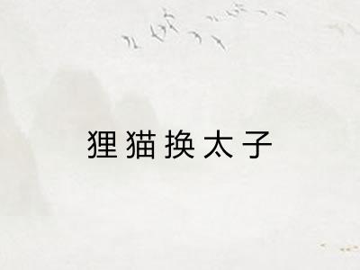狸猫换太子