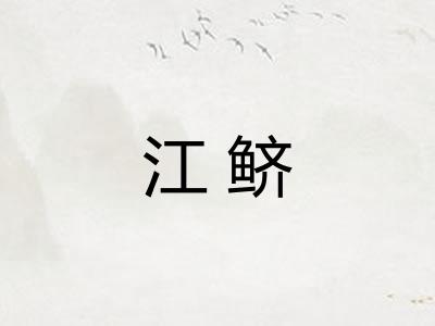 江鲚 江鲚