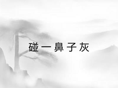 碰一鼻子灰 碰一鼻子灰