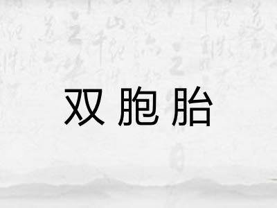 双胞胎
