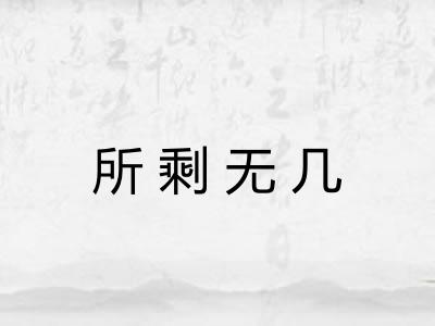 所剩无几