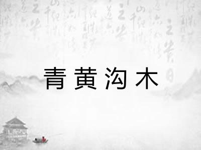 青黄沟木