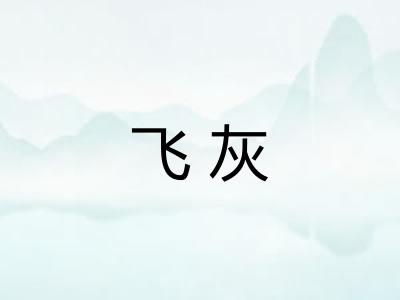 飞灰 飞灰