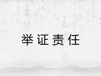 举证责任