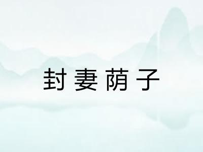 封妻荫子 封妻荫子