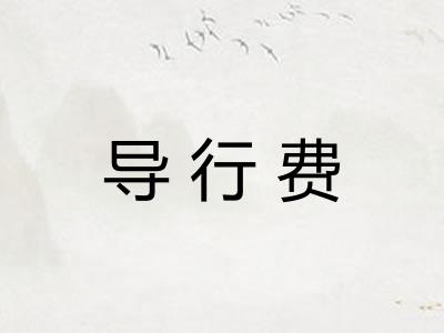 导行费 导行费