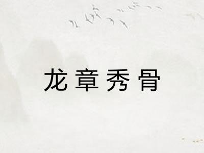 龙章秀骨