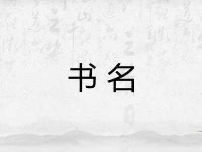 书名