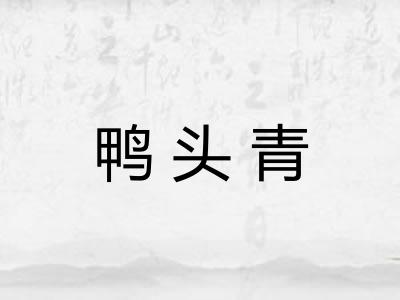 鸭头青
