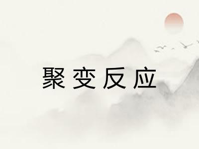 聚变反应 聚变反应