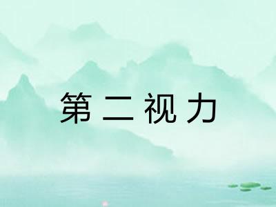 第二视力 第二视力