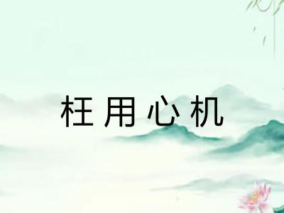 枉用心机