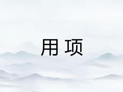 用项 用项
