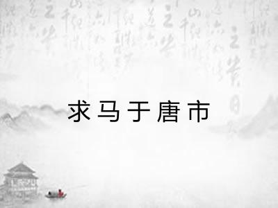 求马于唐市