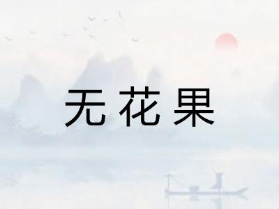 无花果 无花果