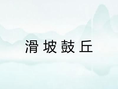 滑坡鼓丘 滑坡鼓丘