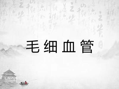 毛细血管