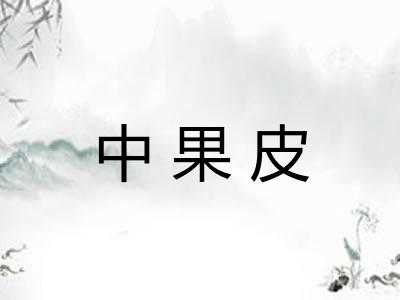 中果皮