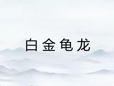 白金龟龙 白金龟龙