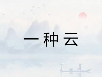 一种云 一种云