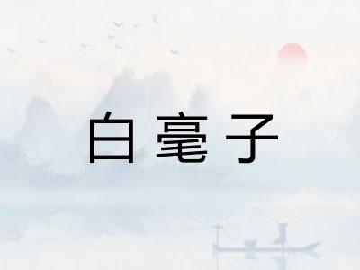 白毫子