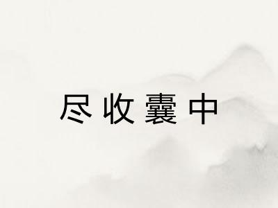 尽收囊中 尽收囊中