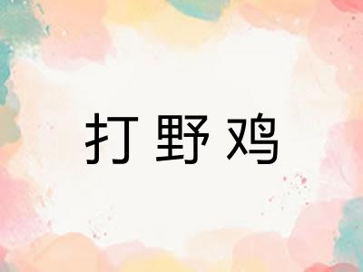 打野鸡