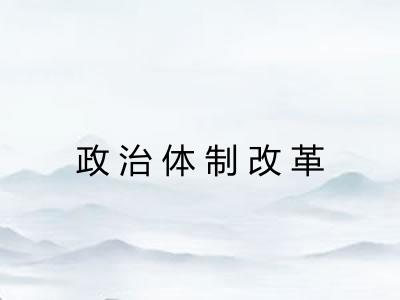 政治体制改革