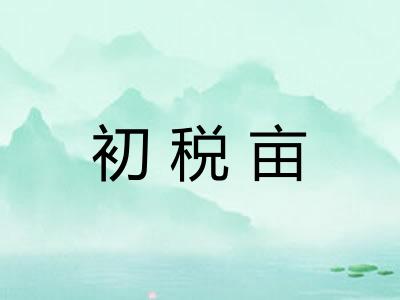 初税亩