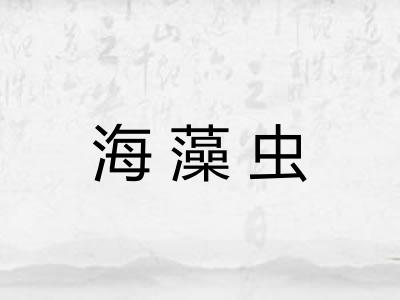 海藻虫 海藻虫